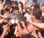 photo plage bebe Un bébé dauphin mort pour quelques photos