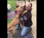 joie homme Un homme retrouve son chien volé après 2 ans de séparation