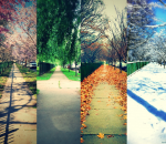 hiver automne Les 4 saisons dans une rue de Newark (New Jersey)