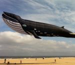 taille Cerf-volant d'une baleine taille réelle