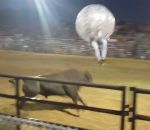 taureau Taureau vs Bubbleball