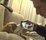 smartphone Comment stopper un chien qui ronfle 
