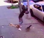 femme tourner chat Comment ne pas protéger son chien d'une attaque de chat