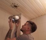 capture Attraper une grosse araignée au plafond