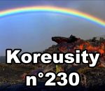 koreusity zapping insolite Koreusity n°230