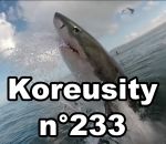 zapping insolite Koreusity n°233