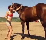 monter selle Un cheval aide une fille à monter