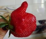 pouce like fraise Like si tu aimes les fraises