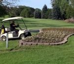 fail golf parterre Ivre, il saute un parterre de fleur en golfette (Illinois)