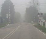 brouillard Garde-barrière inattentif à un passage à niveau