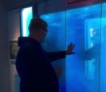attaque aquarium Un homme a peur de l'attaque d'un requin virtuel