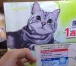 carton Une photo de chat prend vie