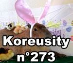 mars insolite koreusity Koreusity n°273