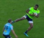 rugby Kung-fu pendant un match de rugby