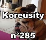 koreusity zapping 2018 Koreusity n°285