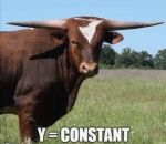 vache Apprendre les maths avec des cornes de vache