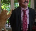 videobomb chat Un chat vidéobombe son maitre pendant une interview (Pologne)