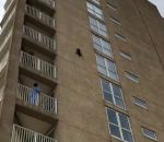 mur immeuble saut Un raton laveur fait du Base Jump sans parachute (Maryland)