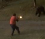 ours grizzly Un grizzly charge un homme armé d'un fusil (Canada)
