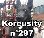 zapping insolite Koreusity n°297