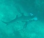 attaque sous-marin Un requin mord la tête d'un chasseur sous-marin