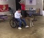 chien dressage Ryker, le chien qui voulait aider les handicapés
