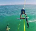 percuter Un kitesurfeur percute un requin