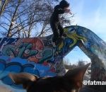 skateboard Un skateur et son « cameradog »