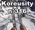 fail koreusity Koreusity n°316