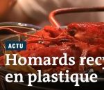 homard plastique Transformer des homards en matière plastique