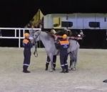 demonstration Transport de blessé à cheval