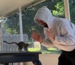 ecureuil jouer homme Jouer avec un écureuil