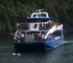 fjord Un chien rejoint un bateau de touristes à la nage