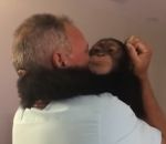 singe reaction Un chimpanzé reconnait des personnes qui ont pris soin de lui