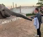 fille telephone Ne pas s'approcher trop près d'un éléphant