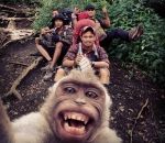 singe Un singe prend un selfie (Indonésie)