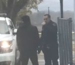 policier coup poing Un policier reçoit un coup de poing et lâche son chien