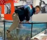 aquarium Récupérer une bague dans le vivier d'un supermarché