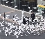 supermarche Une femme assaillie par des pigeons pendant le confinement