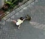moto Un singe essaie de kidnapper un enfant