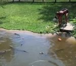 zoo enclos Une femme et son enfant dans un enclos à alligators