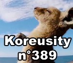 koreusity zapping aout Koreusity n°389