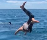 pelerin Mauvaise surprise en nageant avec un requin pèlerin