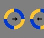 optique Des cercles immobiles qui bougent (Illusion d'optique)