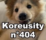 erreur Koreusity n°404