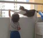 proteger Un chat surveille un enfant sur un balcon