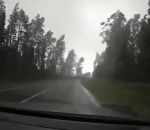 voiture route Des arbres tombent devant une voiture