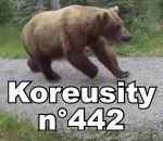 compilation aout Koreusity n°442