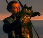 chat OwlKitty dans « Titanic »