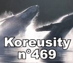 koreusity zapping compilation Koreusity n°469
